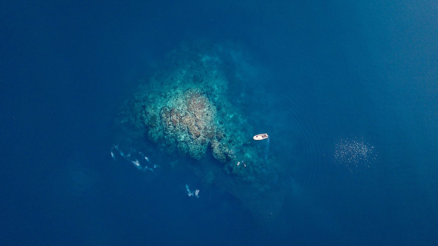 An aerial view of a boat in the middle of ocean