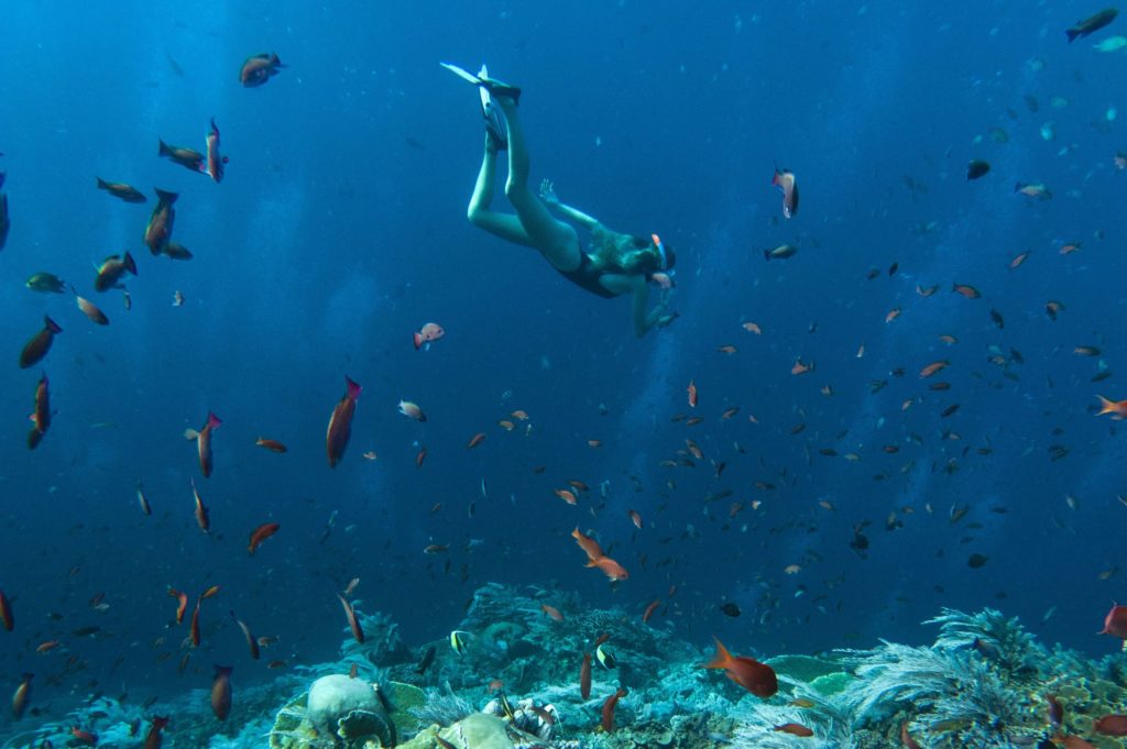 A woman diving on the open seas