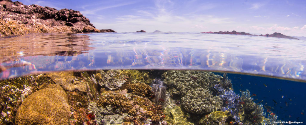 Batu Bolong dive sites komodo