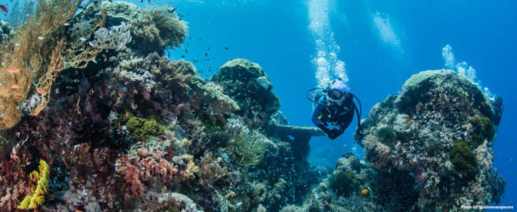 Komodo top dive sites 